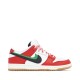 Frame Skate x Nike Dunk Low SB 'Habibi'