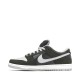 Nike Dunk Low SB 'J-Pack Shadow'